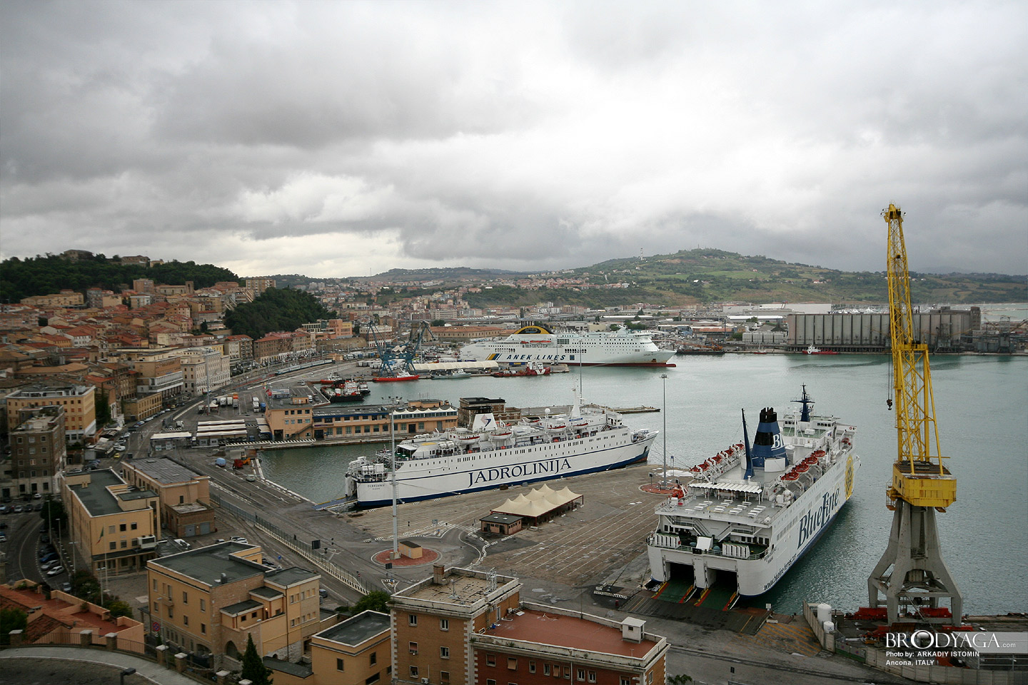 Ancona